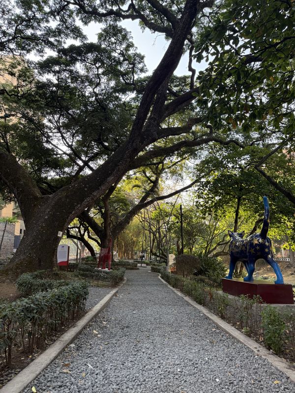 Parque de los Gatos, on the bank of the Cali River